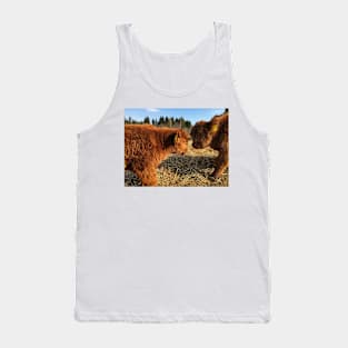 Scottish Highland Cattle Calves 1739 Tank Top